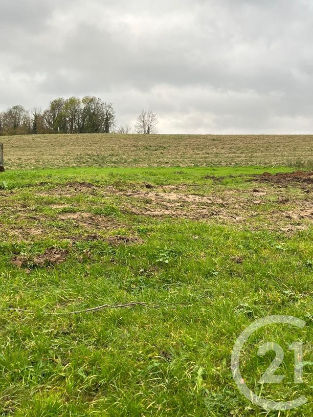 terrain - MAGNY EN VEXIN - 95