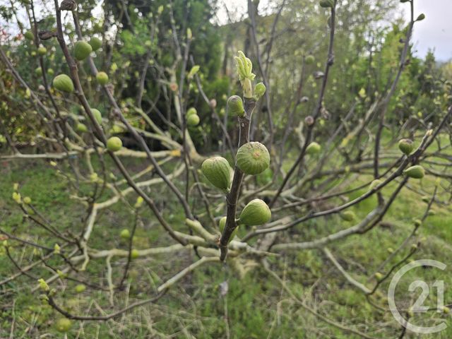 maison à vendre - 6 pièces - 137.0 m2 - JAMBVILLE - 78 - ILE-DE-FRANCE - Century 21 Osmose