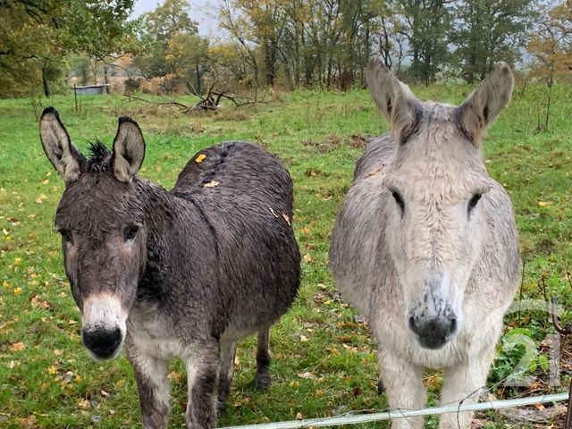 terrain à vendre - 696.0 m2 - CLERY EN VEXIN - 95 - ILE-DE-FRANCE - Century 21 Osmose