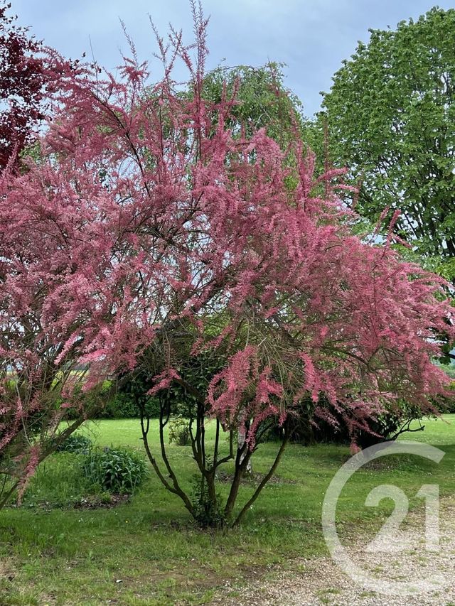 maison à vendre - 7 pièces - 180.0 m2 - WY DIT JOLI VILLAGE - 95 - ILE-DE-FRANCE - Century 21 Osmose