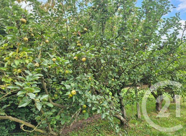 maison à vendre - 3 pièces - 68.51 m2 - LIERVILLE - 60 - PICARDIE - Century 21 Osmose